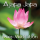 Ajapa Yoga - Tajemna Praktyka Lajów z Himalajów
